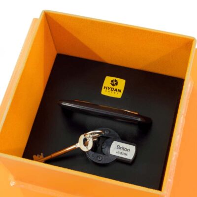 Hydan Briton<br/> Cash Rating £4,000